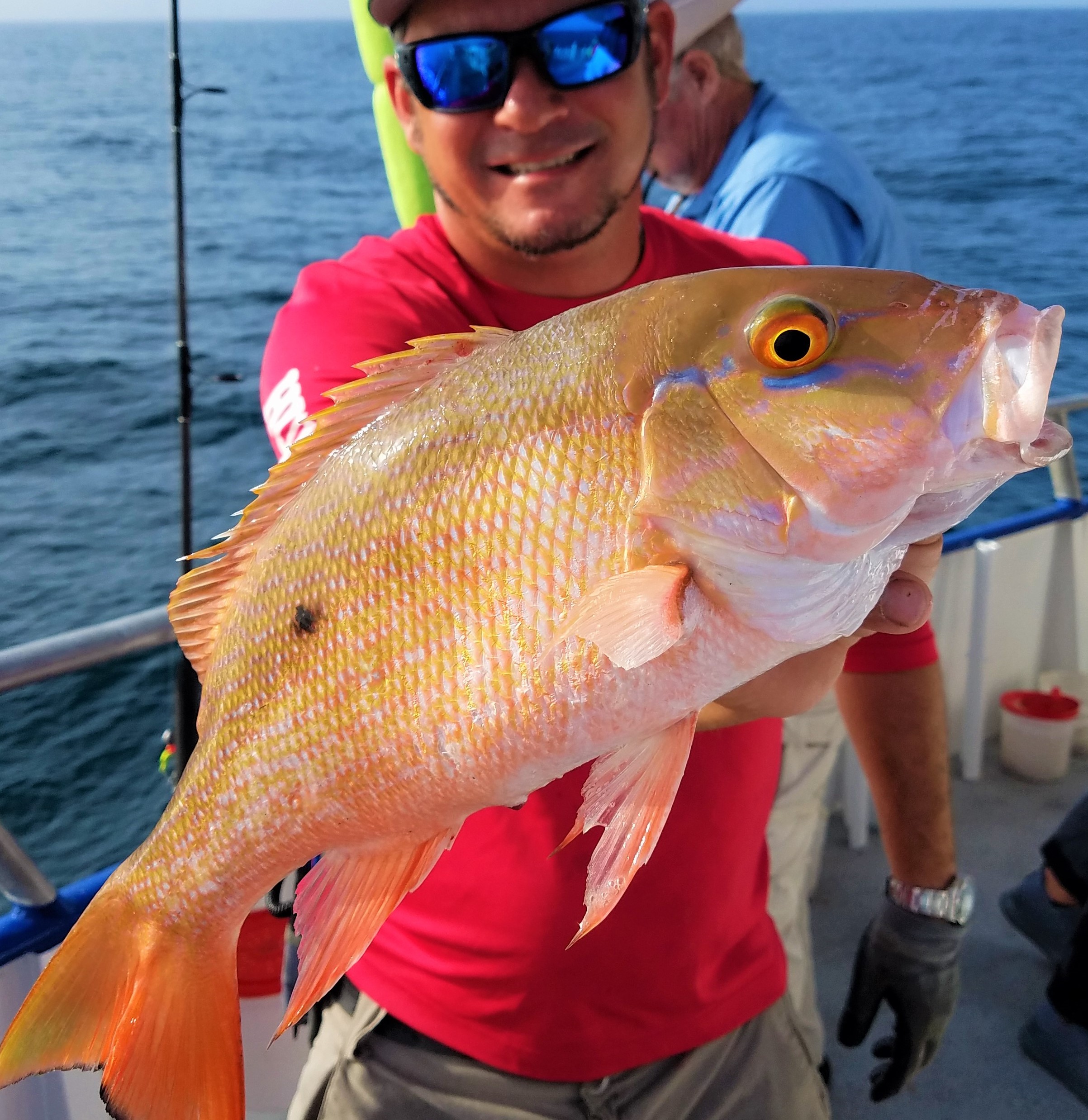 Why is Lane Snapper Closing?
